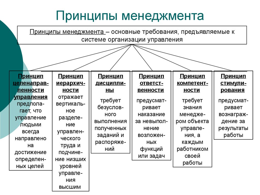 Цели организации ее функции