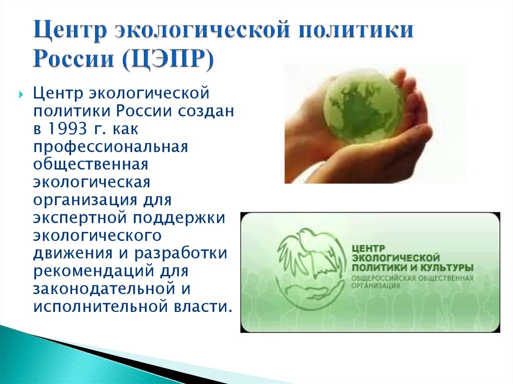 Центр экологической политики России (ЦЭПР)
