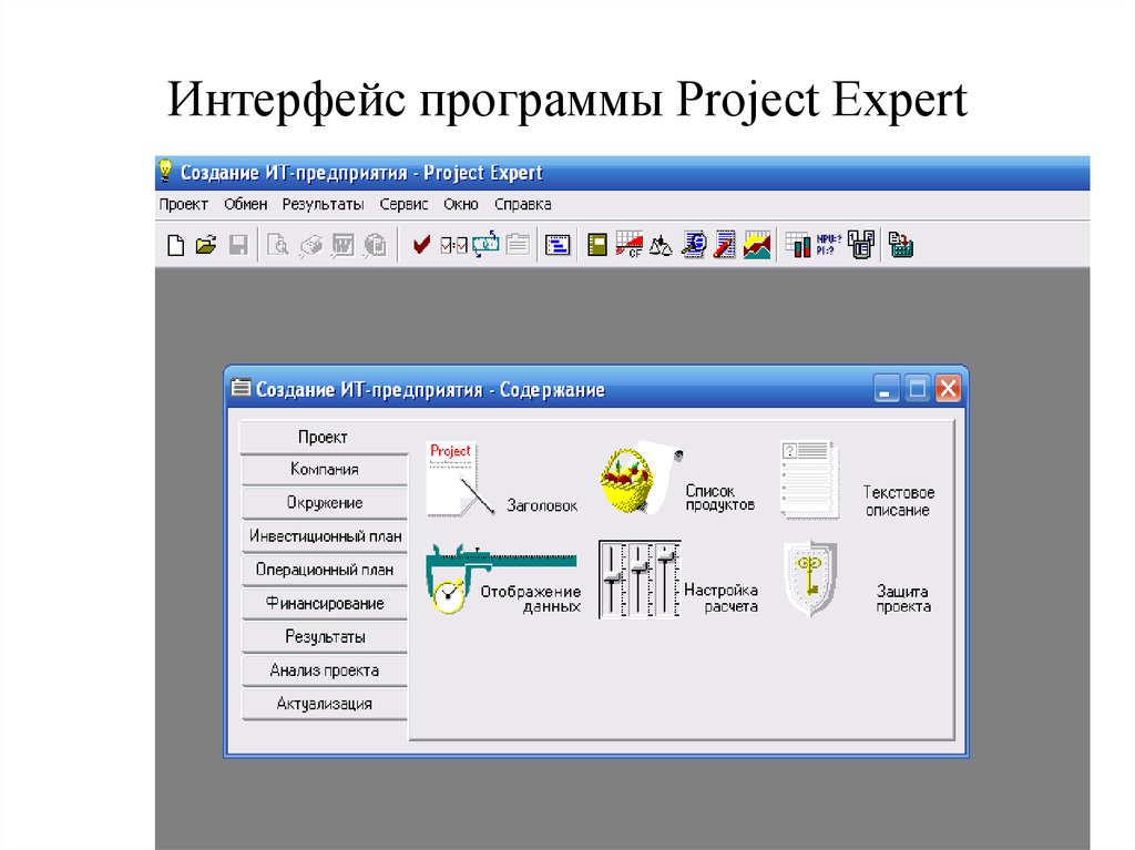 Project expert. Интерфейс программы Project. Программа Проджект эксперт. Программный комплекс Project Expert..