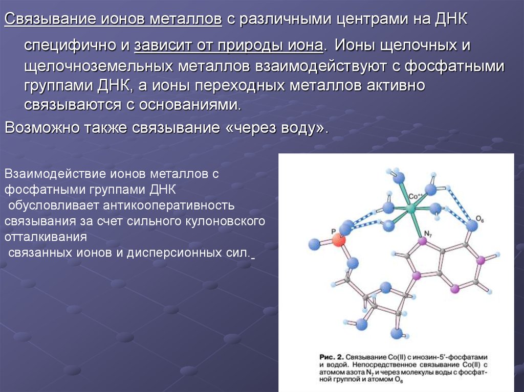 Ионные металлы. Связывание ионов. Ионы металлов. Фосфатная группа ДНК. Связывание одноименных ионов.