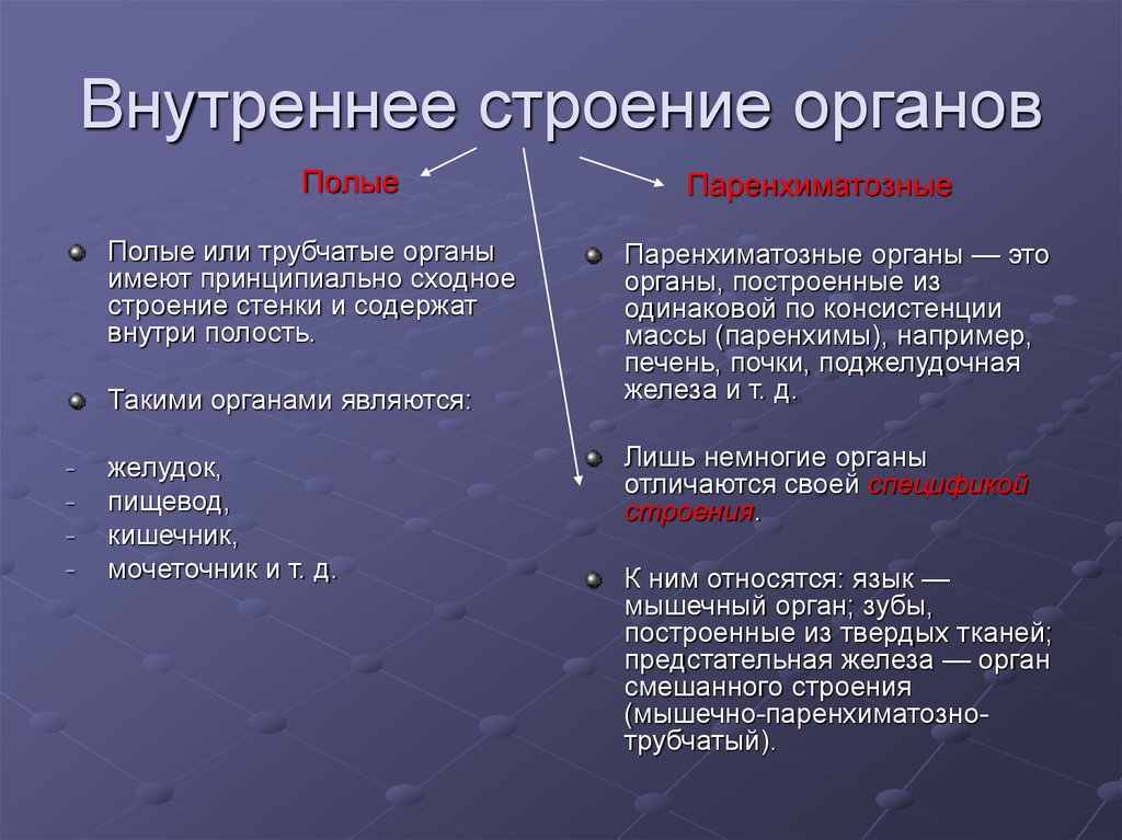 Классификация органов анатомия