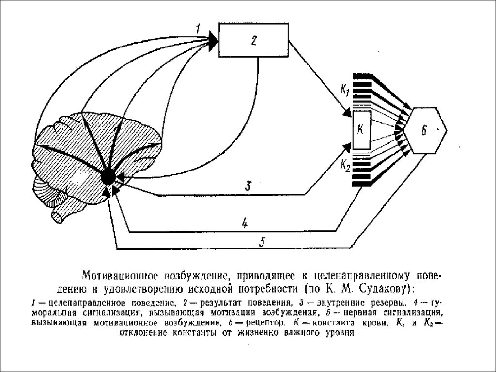 Операциональная схема фс механизм целенаправленного поведения