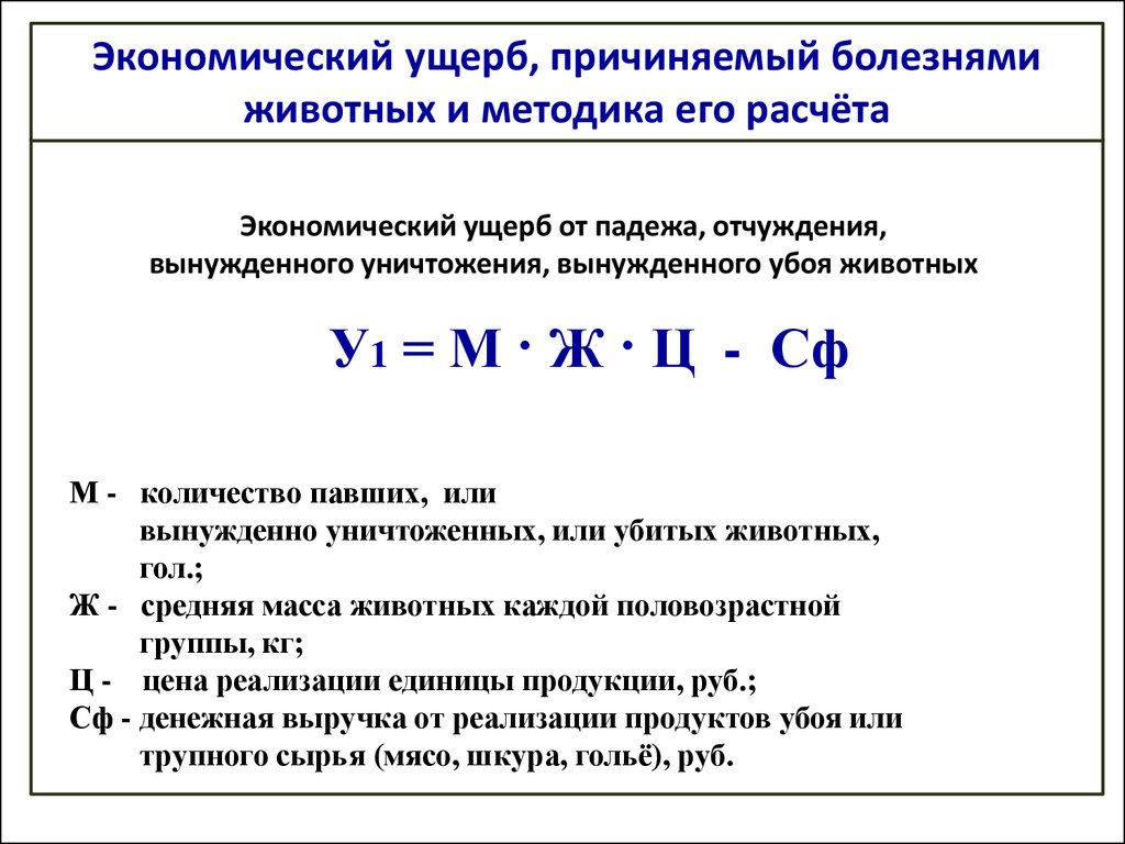 Методика оценки и расчета нормативов социально экономического ущерба от дтп