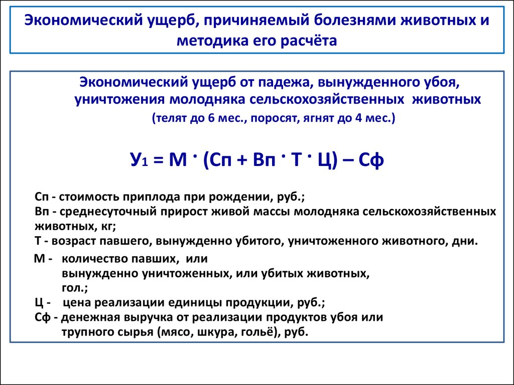 Расчет ущерба