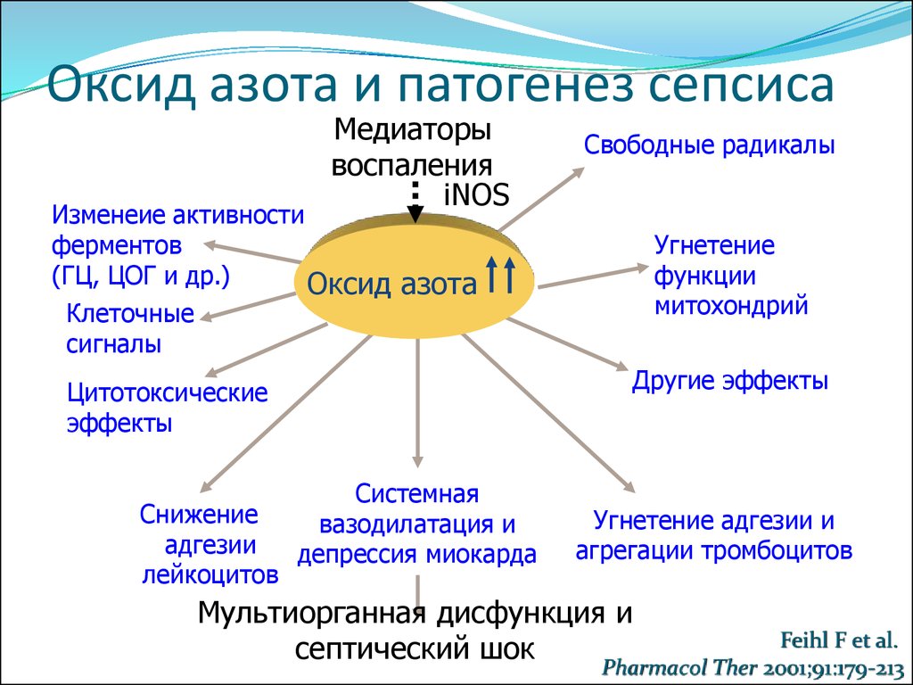 Азот в организме. Роль оксида азота в организме человека. Оксид азота функции в организме. Оксид азота роль при воспалении. Оксид азота функции.