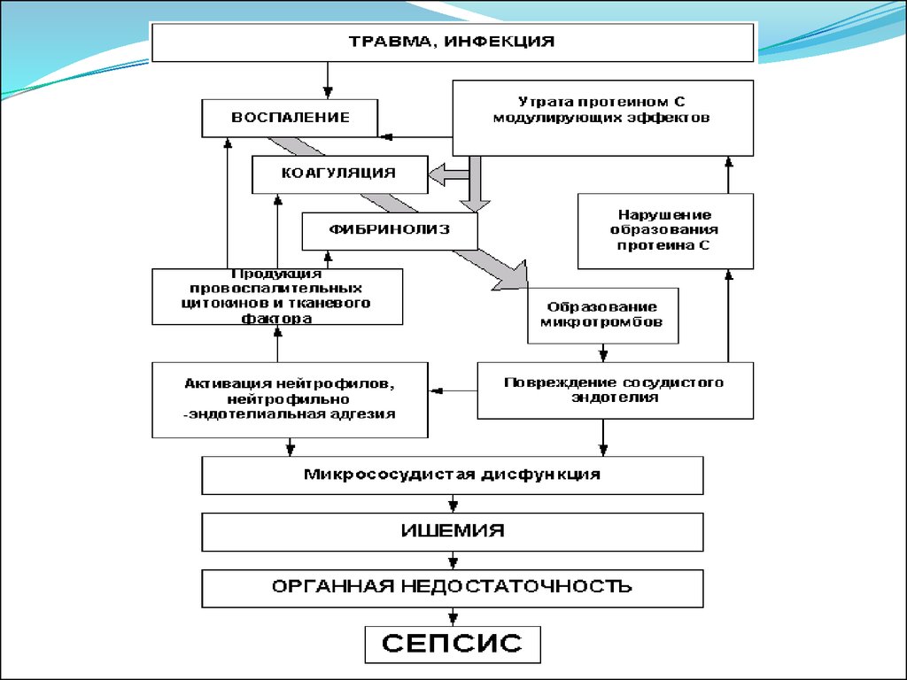 Патогенез воспаления схема