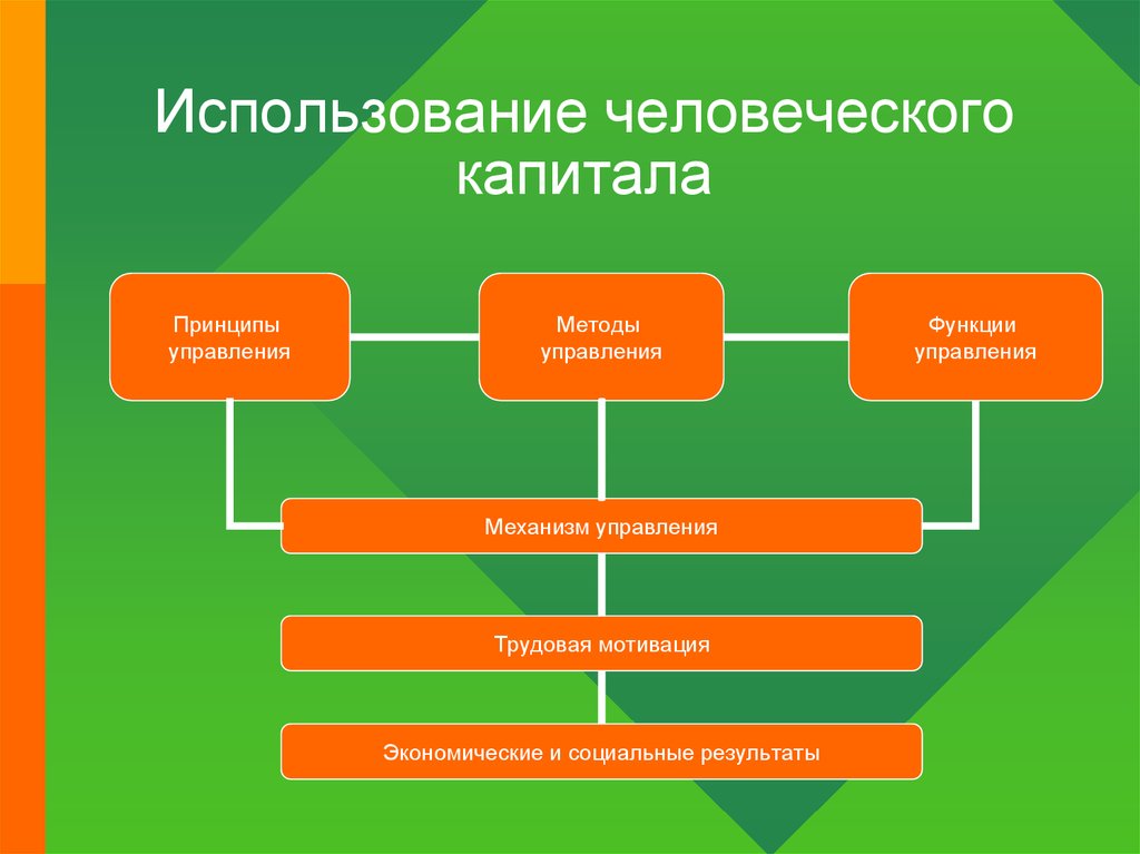 Теория человеческого капитала презентация