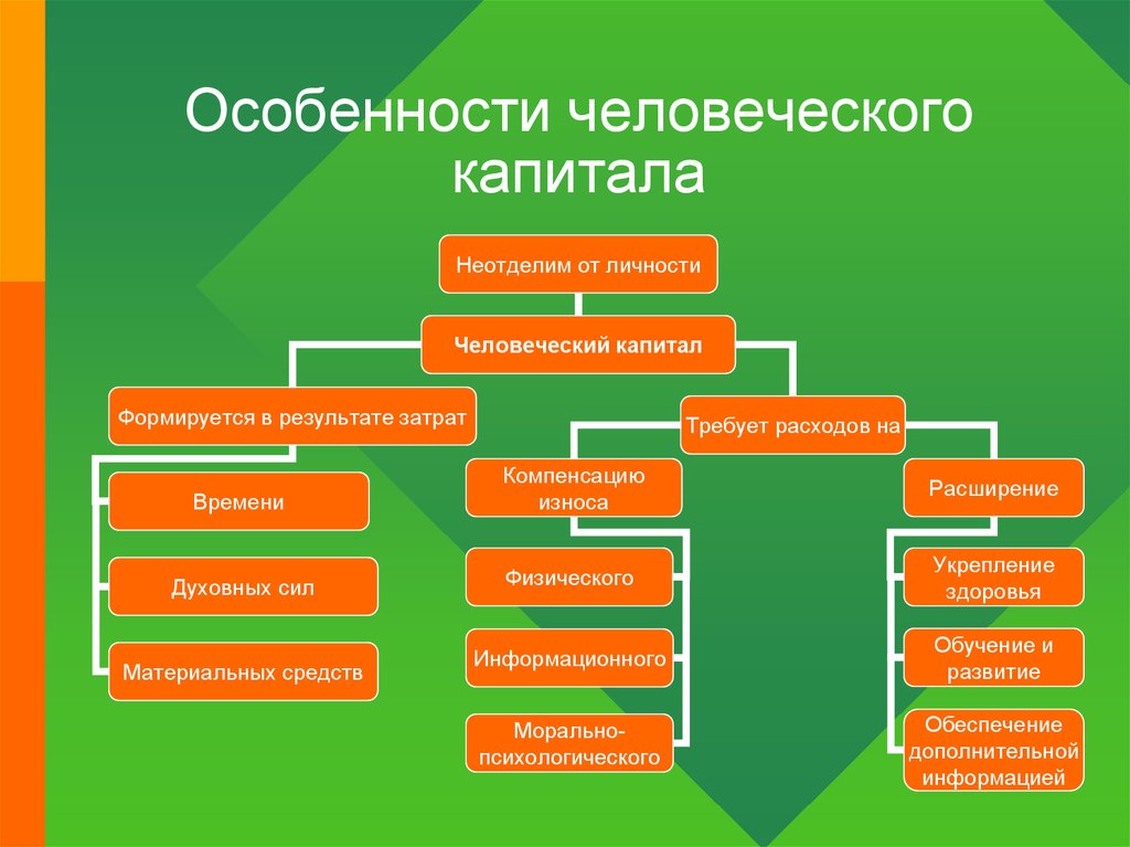 Характеристика человеческого капитала