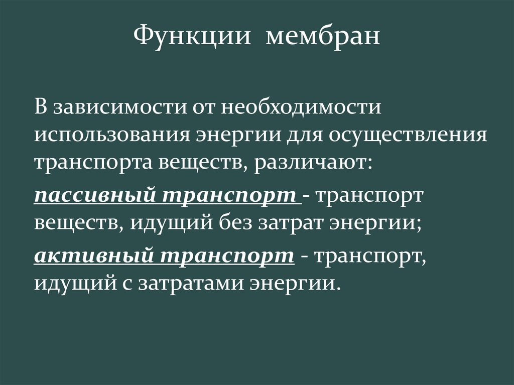 8 Функций мембраны. Функции диафрагмы. Диафрагма функции 8 класс.