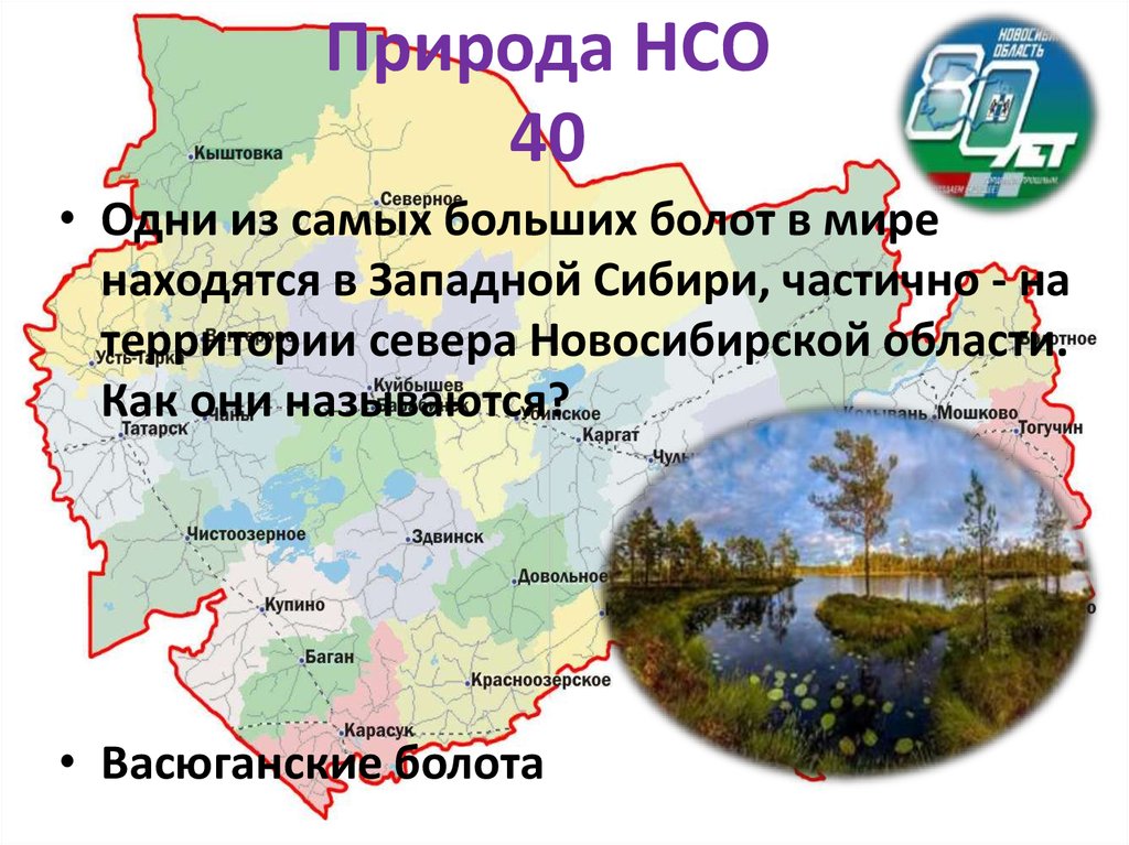 Здвинск новосибирская область карта