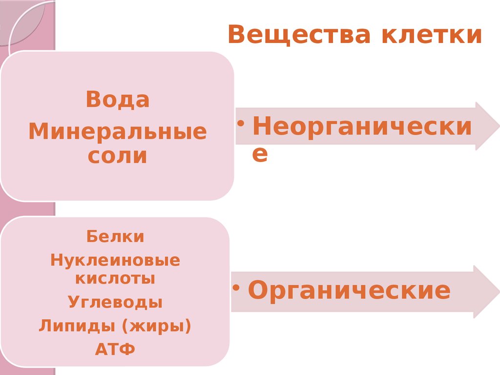 4 органические вещества клетки углеводы липиды