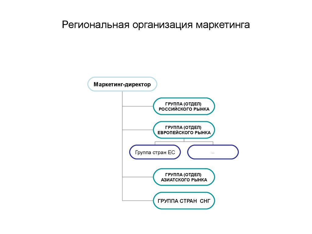 Региональная организация маркетинга. Управление маркетингом. Маркетинговый отдел Новиков групп.