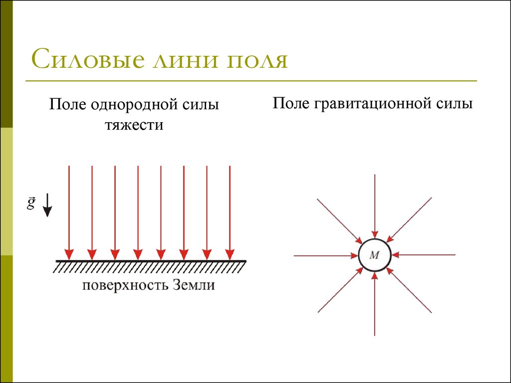 Однородное поле сил. Силовые линии гравитационного поля. Силовые линии поля тяготения. Изображение силовых линий однородного поля.