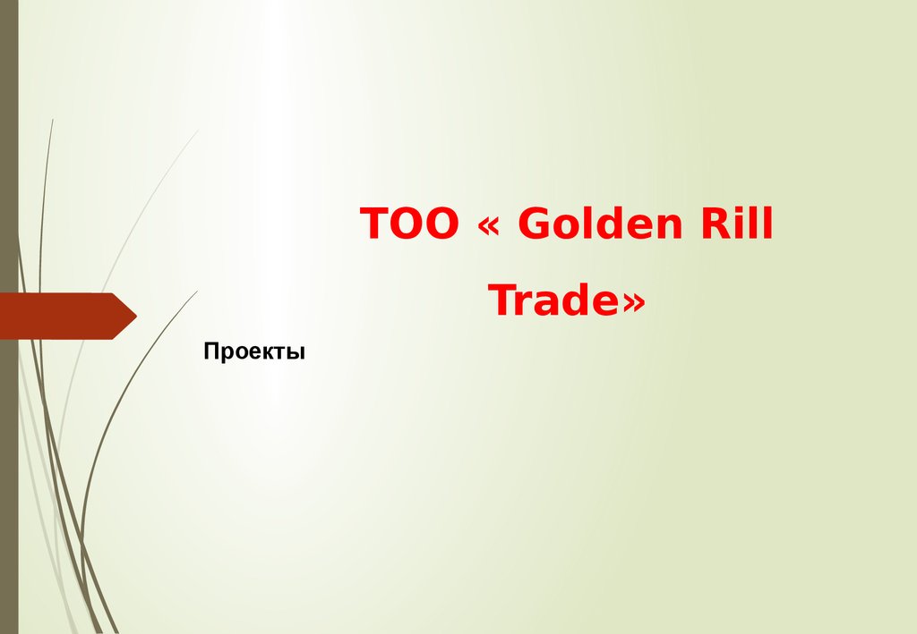 ТОО « Golden Rill Trade»