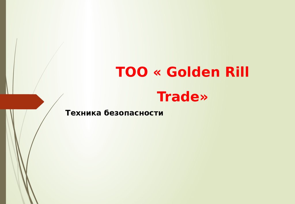 ТОО « Golden Rill Trade»