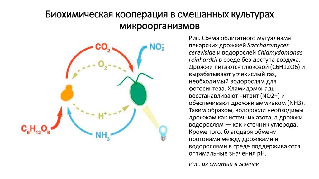 Генетическая система