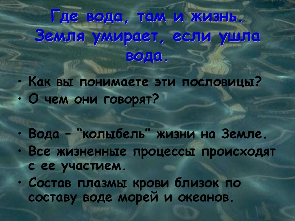 Откуда там вода. Колыбель жизни на земле. Куда девается вода из моря. Поговорки о воде. Пословицы о море.