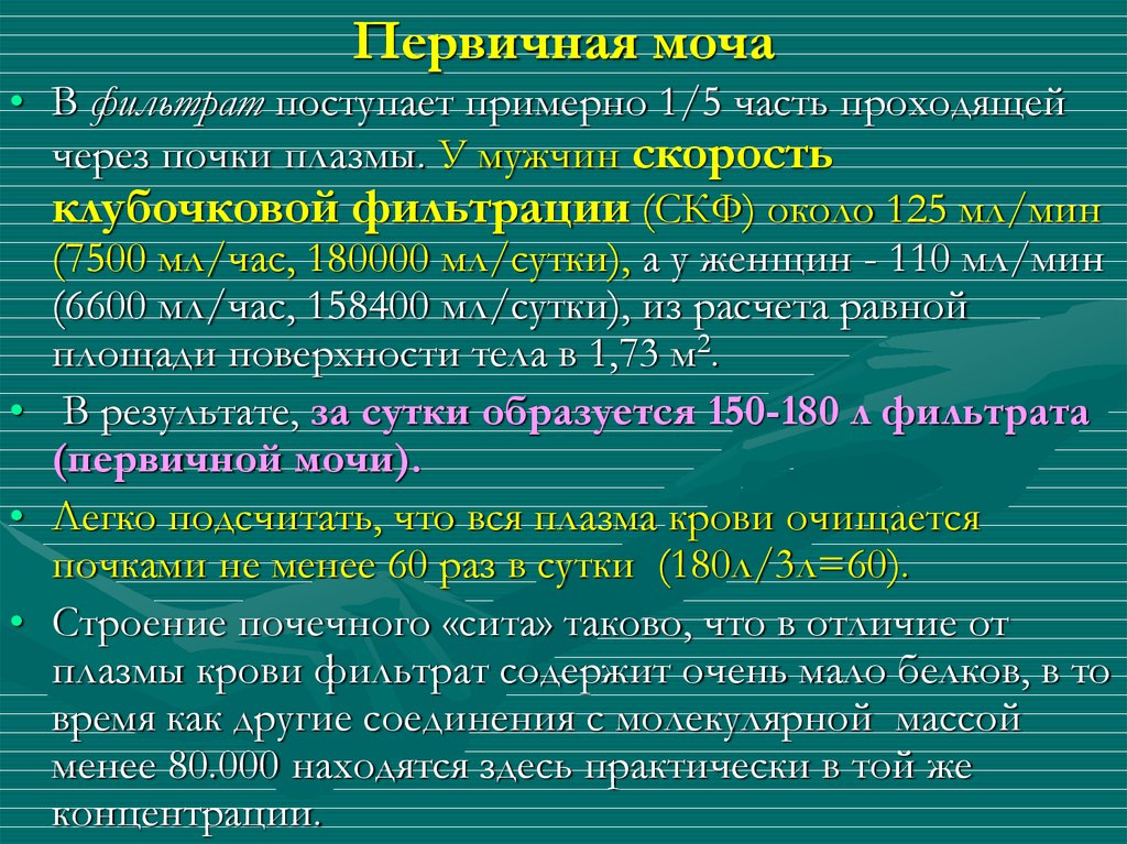 Первичная моча отличается от плазмы крови отсутствием