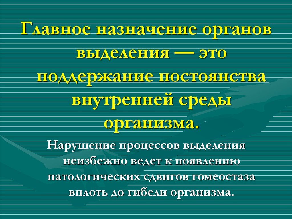 Назначение органов. Нарушение процессов выделения это. Основное Назначение организма. Назначаемые органы. Роль выделительных процессов в поддержании гомеостаза.