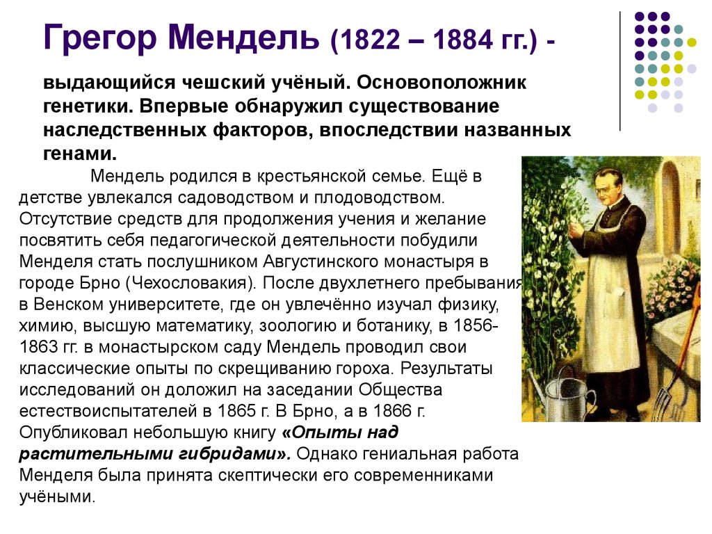 Как назвал г мендель. Грегор Мендель (1822—1884). Грегор Мендель презентация. Грегор Мендель доклад. Основоположник генетики.