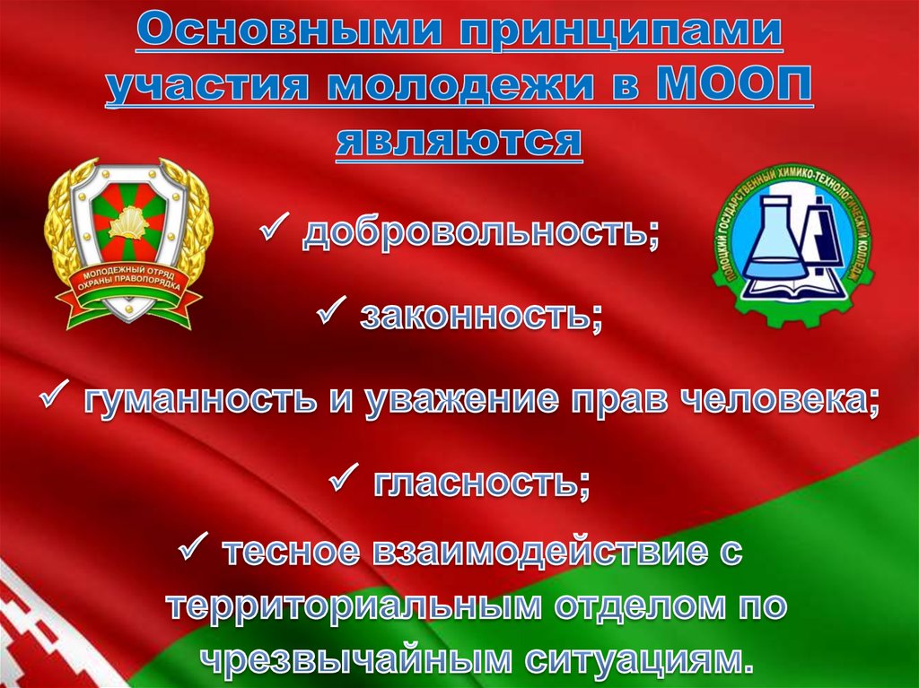Основными принципами участия молодежи в МООП являются