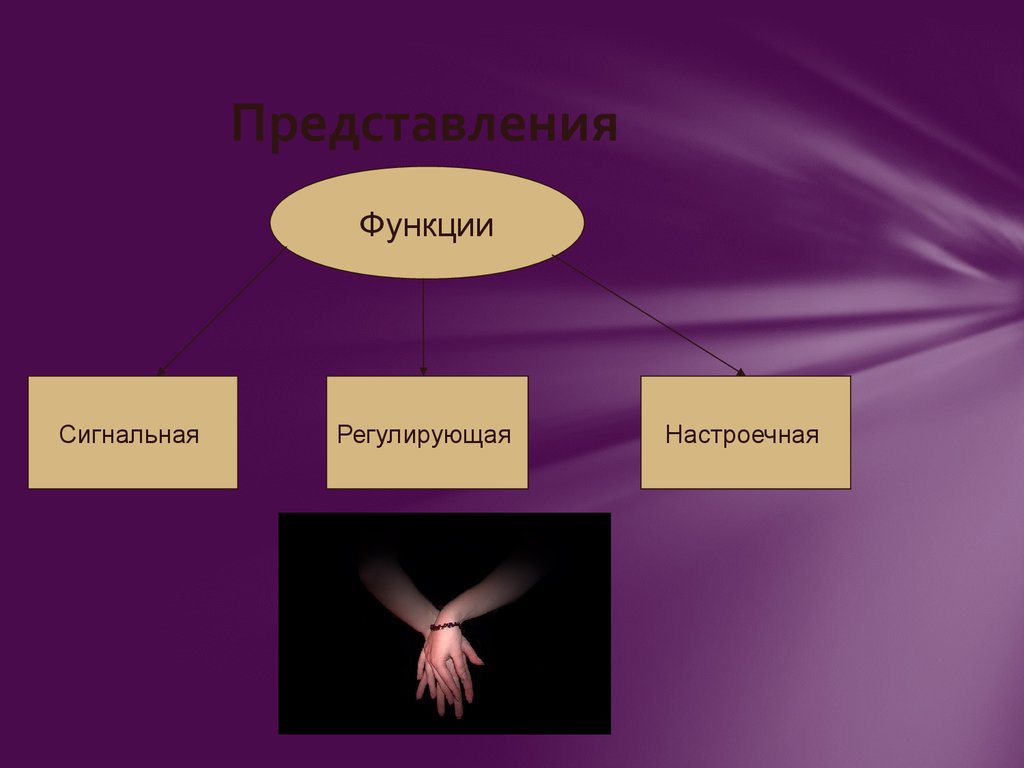 Представлялся вид. Функции представления. Сигнальная функция представления. Функции представления в психологии. Регулирующая функция представления пример.