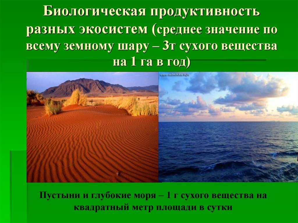 Пути повышения биологической продуктивности в искусственных экосистемах проект