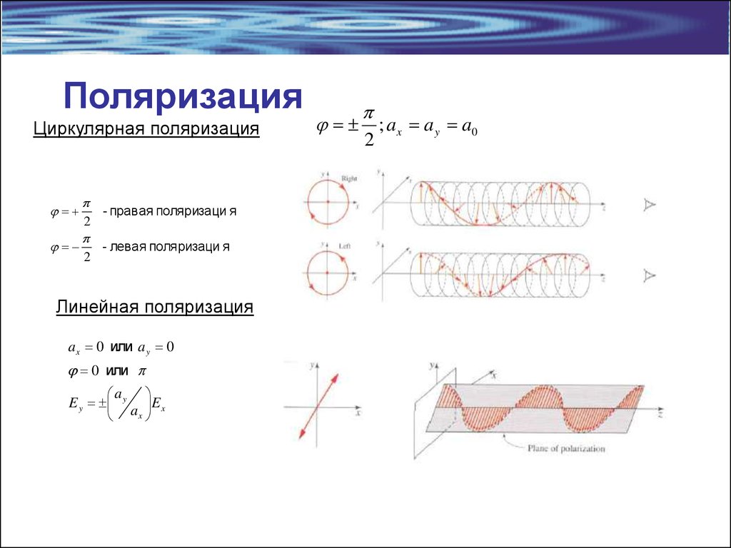 Поляризация. Поляризационная решетка для электромагнитной волны. Линейная круговая и эллиптическая поляризация света. Линейная и циркулярная поляризации света. Поляризация поперечных волн формула.