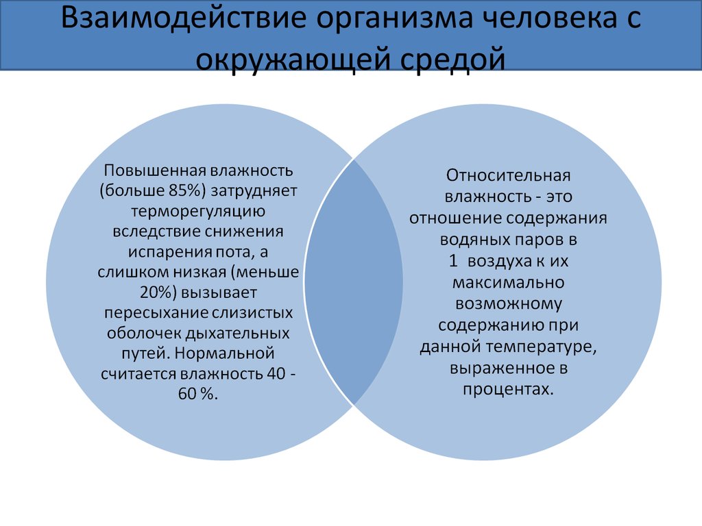 Оптимальные условия жизнедеятельности человека. Обеспечение комфортных условий жизнедеятельности. Обеспечение комфортных условий жизнедеятельности БЖД. Комфортные условия жизнедеятельности презентация. ОБЖ комфортные условия жизнедеятельности.