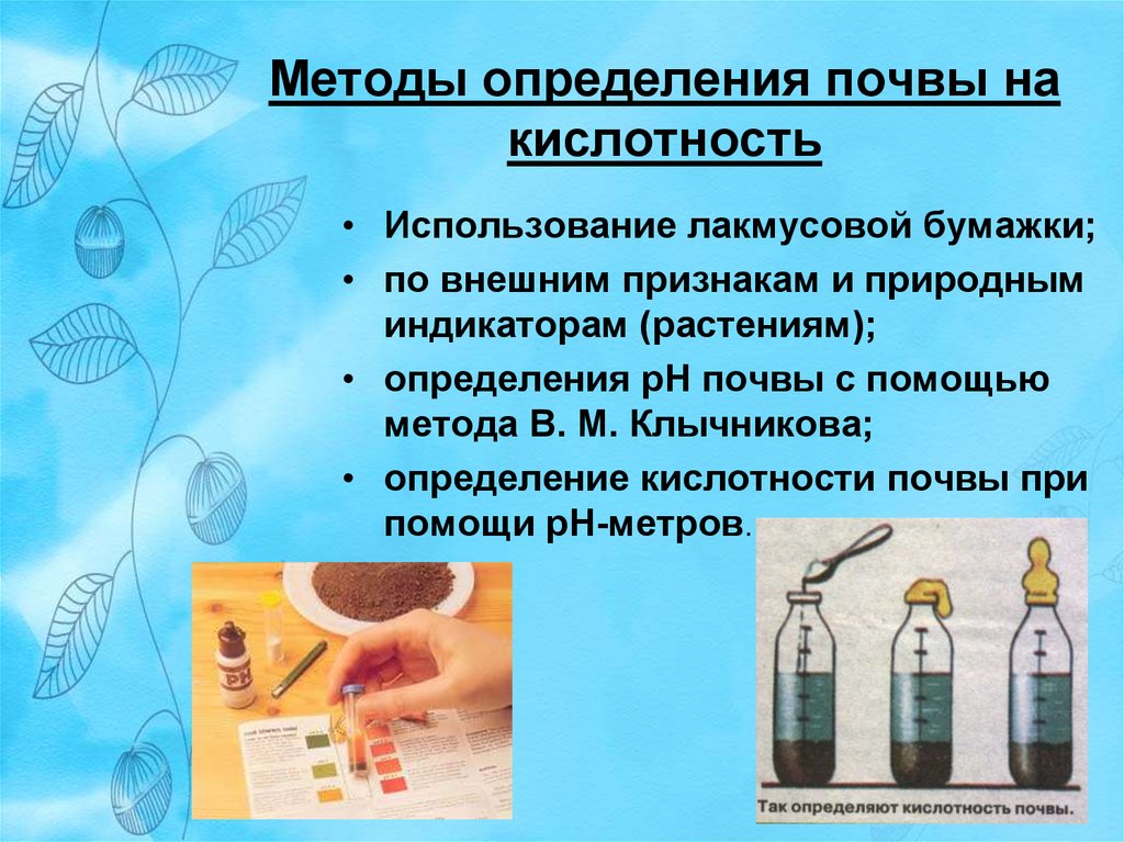 Как измерить кислотность почвы