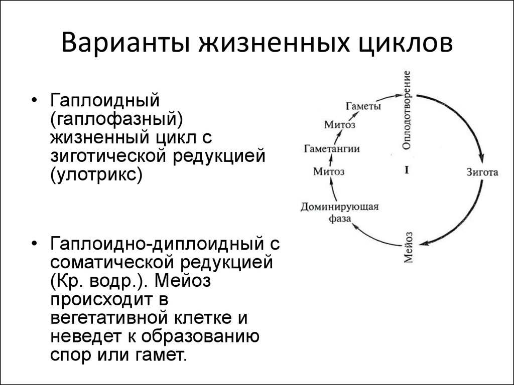 Схема и редукция