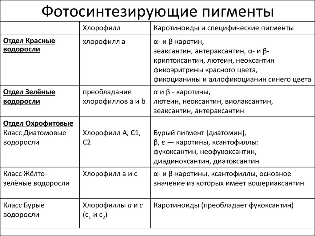 Особенности хлорофилла. Сравнительная характеристика водорослей пигменты. Типы хлорофилла таблица. Типы пигментов у водорослей. Пигменты хлорофилла таблица.