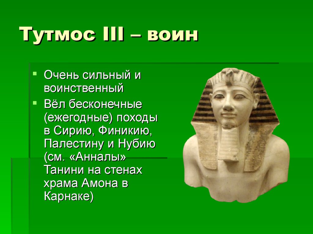 Тутмос 3 2 исторических факта. Фараон Египта тутмос 3 история. Новое царство тутмос 3. Тутмос 1 фараон древнего Египта. Фараон тутмос 3 факты.
