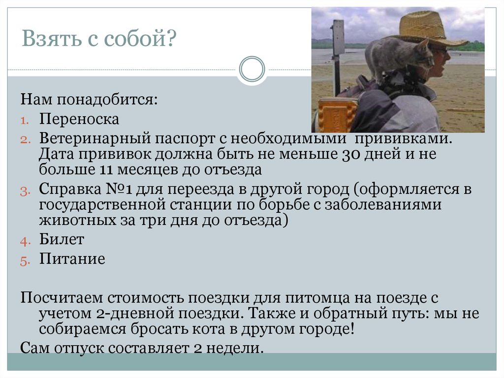 Взять с собой?