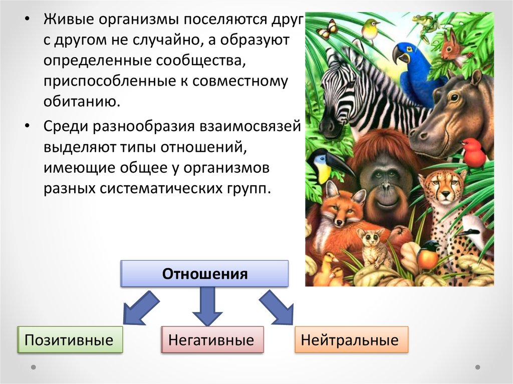 Организмы разных видов. Позитивные отношения симбиоз. Типы биологического разнообразия взаимосвязаны. Совокупность совместно обитающих организмов разных видов. Примеры симбиотических взаимоотношений.