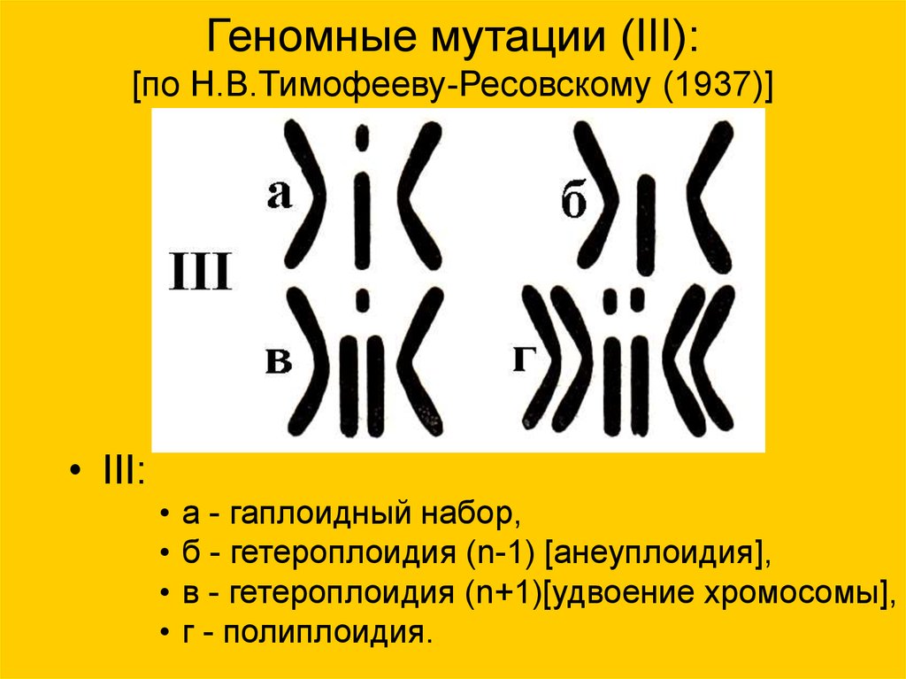 Изменение количества хромосом мутация