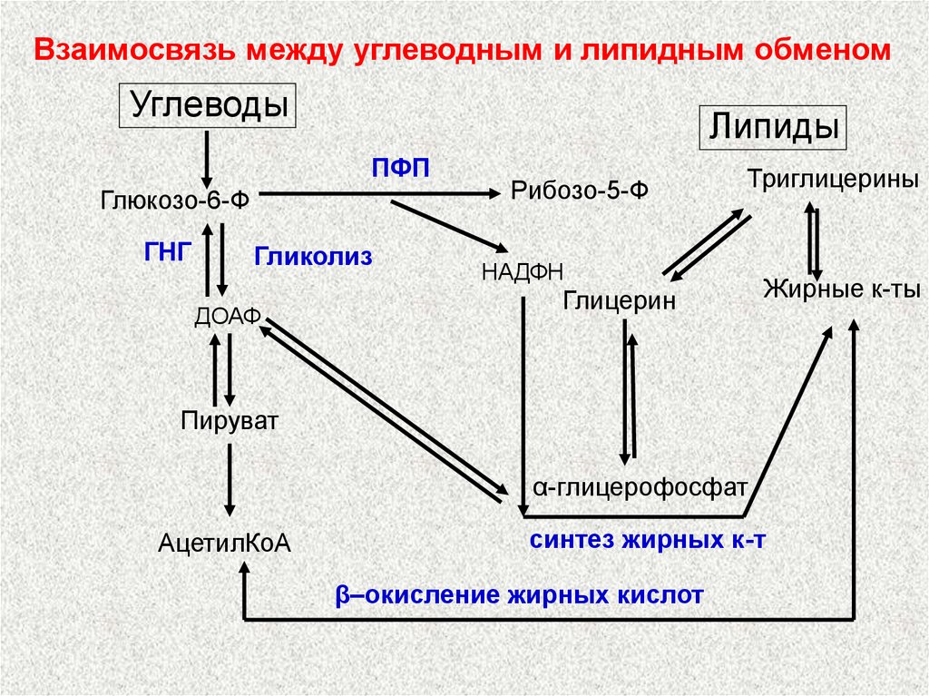 Обмен углеводов карта