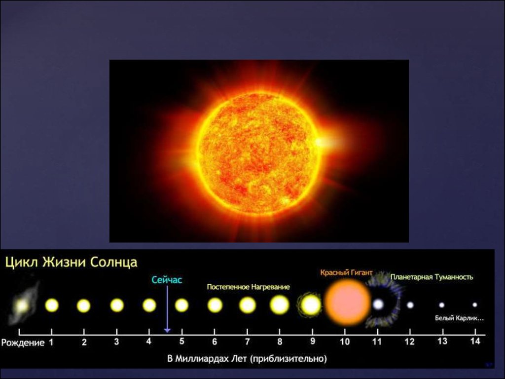 Солнечный сколько звезд. Жизненный цикл солнца. Этапы солнца. Этапы жизни солнца. Стадии жизни солнца.