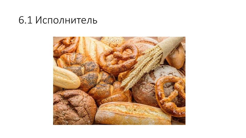 6.1 Исполнитель 