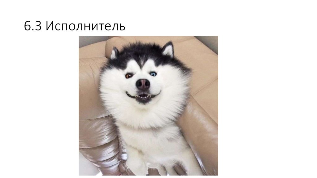 6.3 Исполнитель