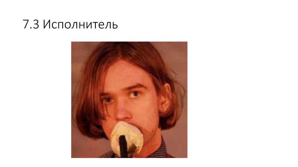 7.3 Исполнитель