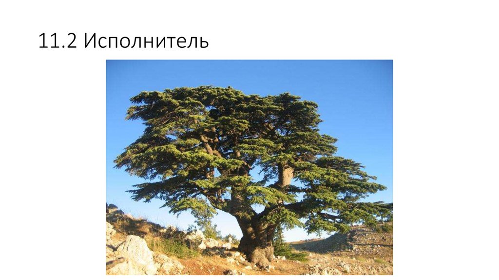 11.2 Исполнитель