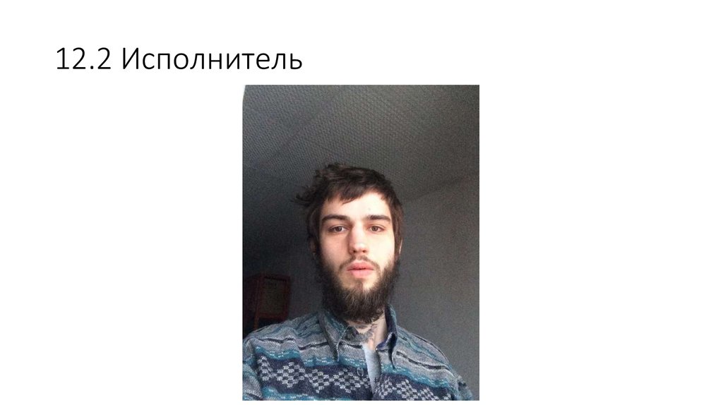 12.2 Исполнитель