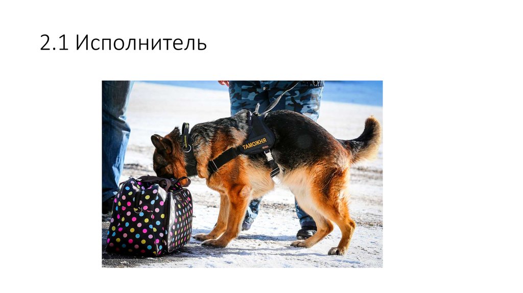 2.1 Исполнитель