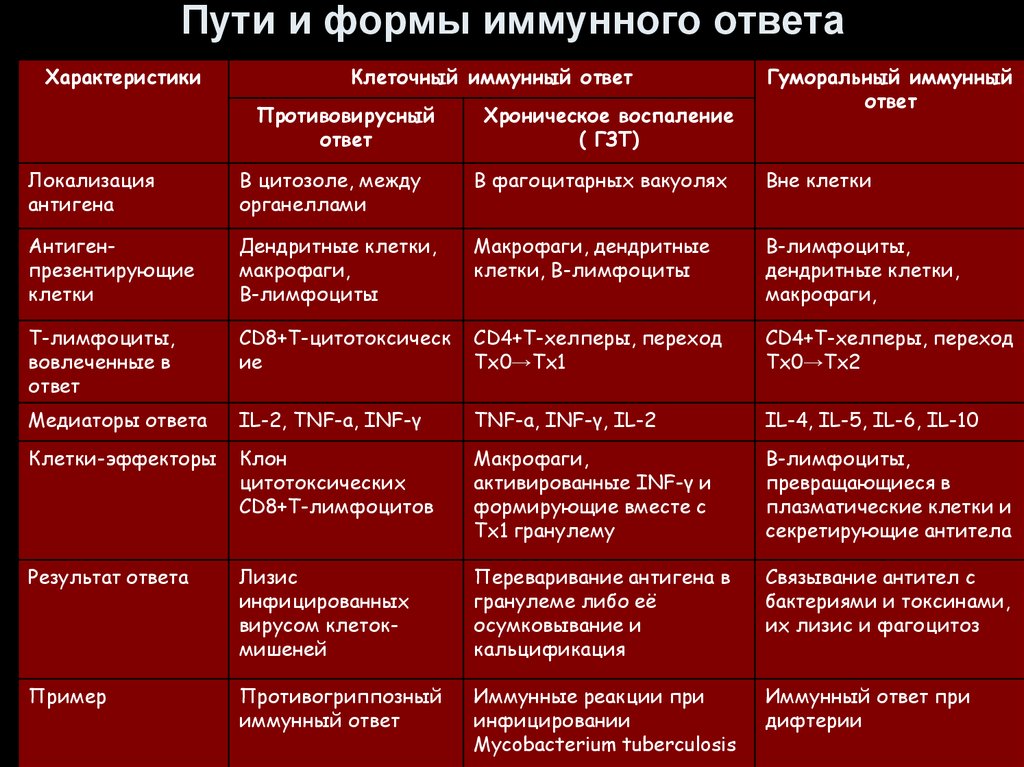 Характеристика клеточных реакций иммунитета