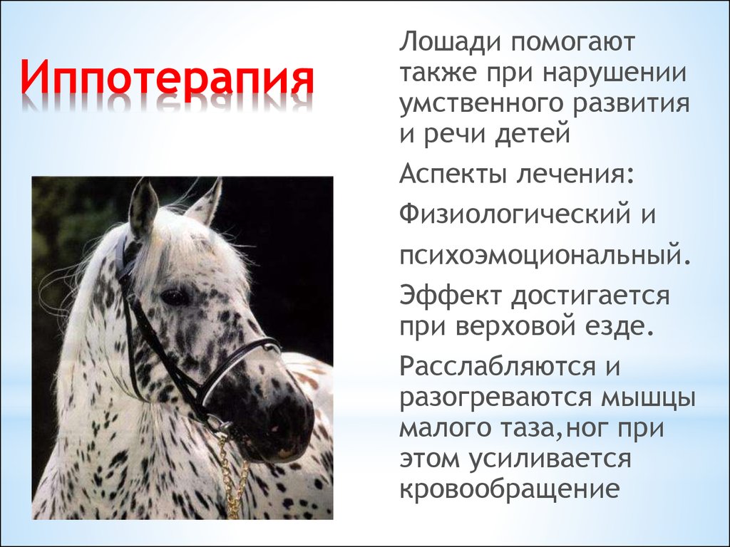 Также способствовало. Помогает коню. Чем помогает лошадь. Как лошадь помогает человеку. Помогите лошадкам.