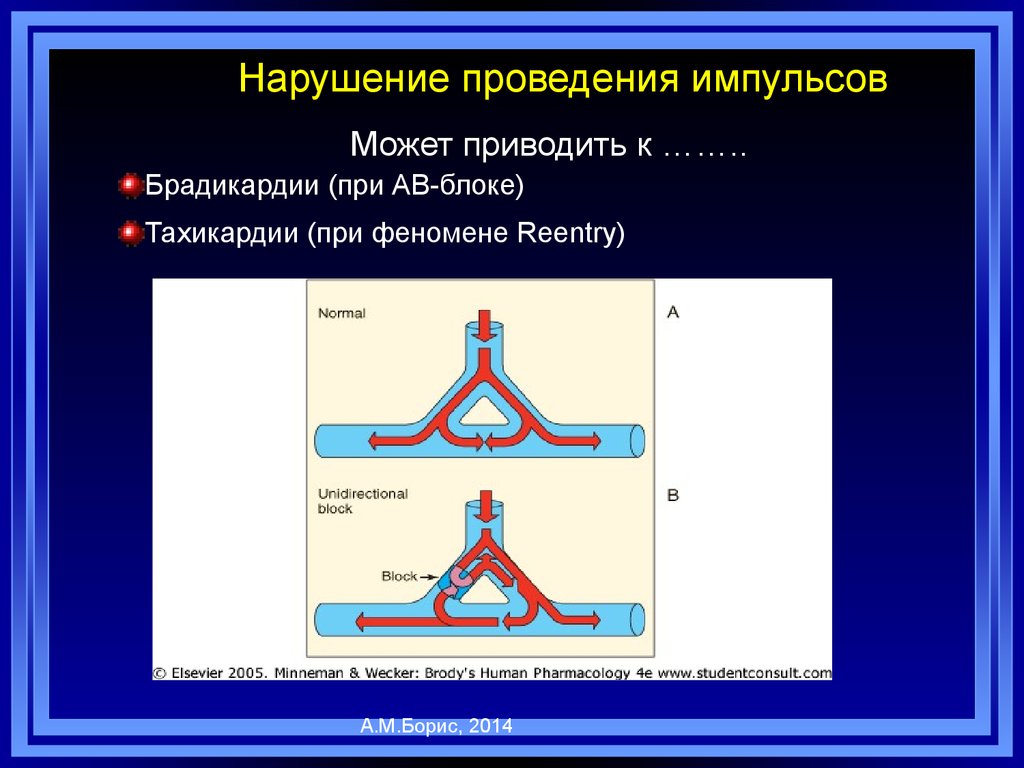 Проведение импульса. Нарушение проведения импульса. Аритмии нарушение проведения импульса. Расстройство контроля импульсов. Причины и механизмы нарушений проведения импульса..