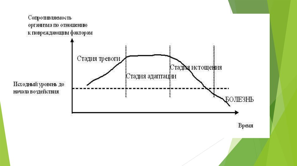 Исходный этап. Фазы стресса в менеджменте. Стадии адаптации стадия тревоги. Стадия тревоги стадия сопротивляемости стадия истощения.