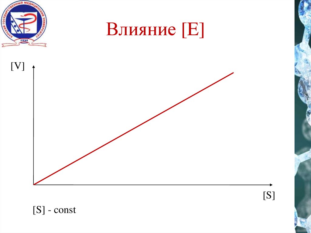 Влияние е. S const.