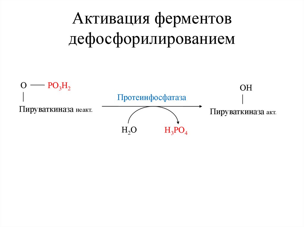 Ферменты активные в кислой среде